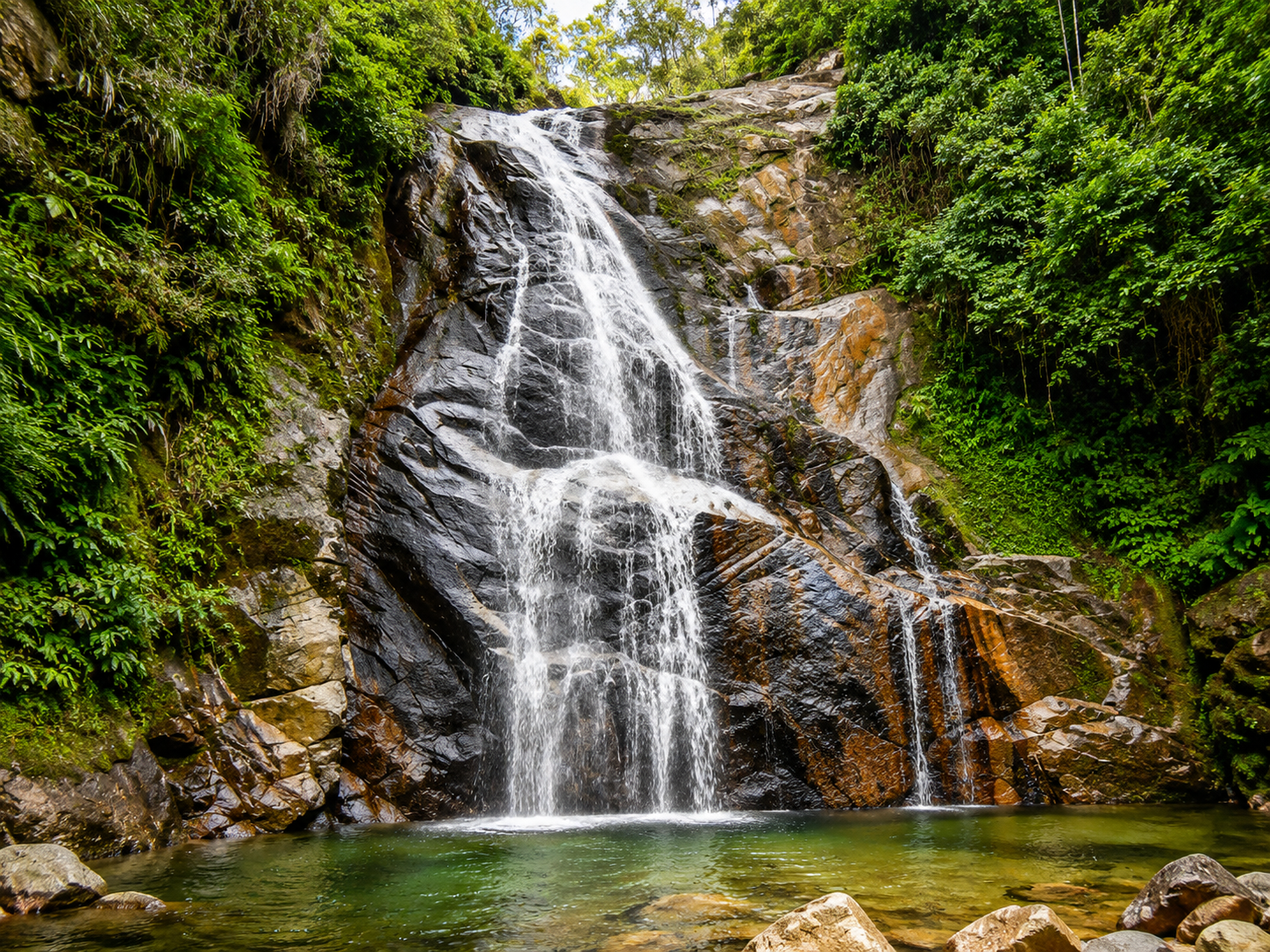 Cascada entre vegetación verde de selva alta