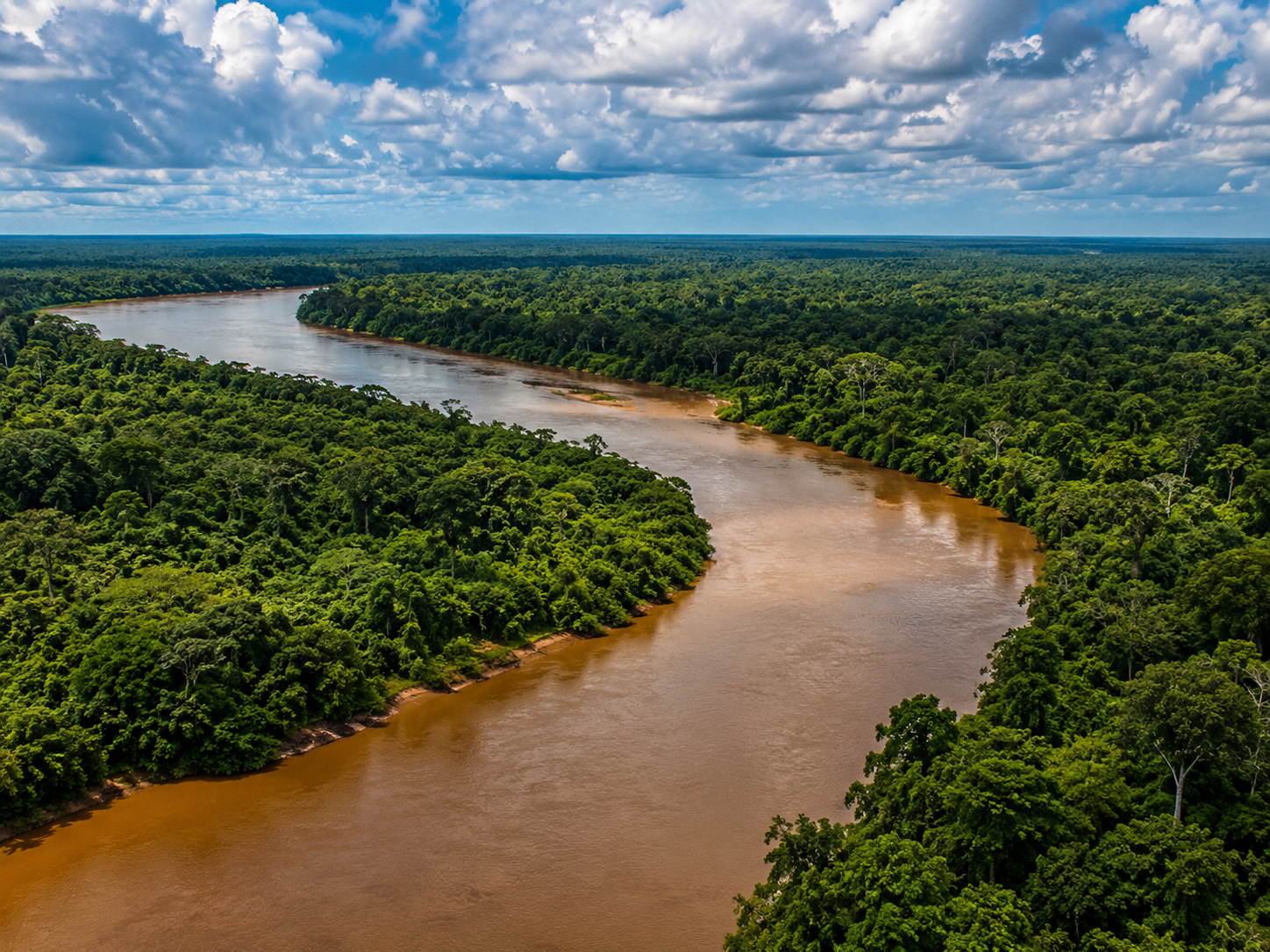 Río amazónico serpenteando entre bosque tropical
